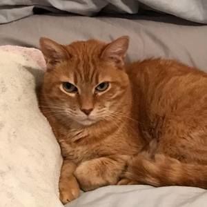 Meet your Posher, Karen